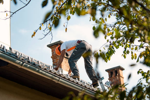 Best Local Roofing Companies  in Frontenac, MO